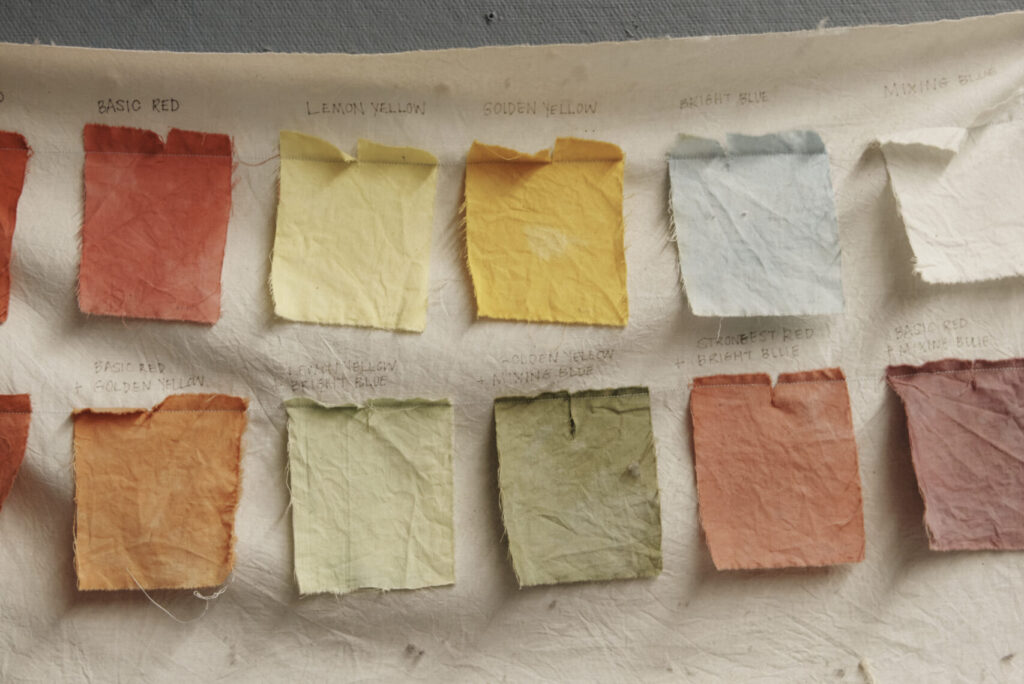 A fabric swatch board showcases twelve squares of sustainably dyed fabric, each labeled. The colors, including shades of red, yellow, blue, and green, highlight the textured material pinned to a neutral background.