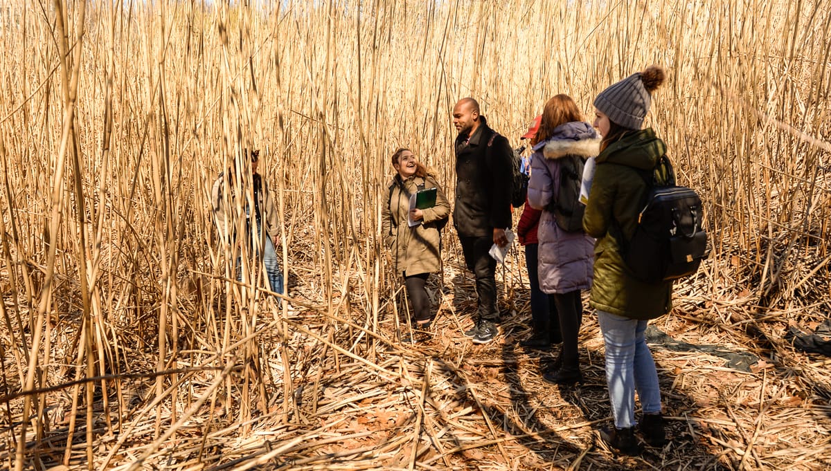 A group of people stands amidst tall yellow reeds, wearing winter clothing and carrying backpacks. One person, with a notebook in hand, seems to discuss sustainability with the others. The ground is covered in dry leaves and stems, creating an earthy backdrop for their conversation.