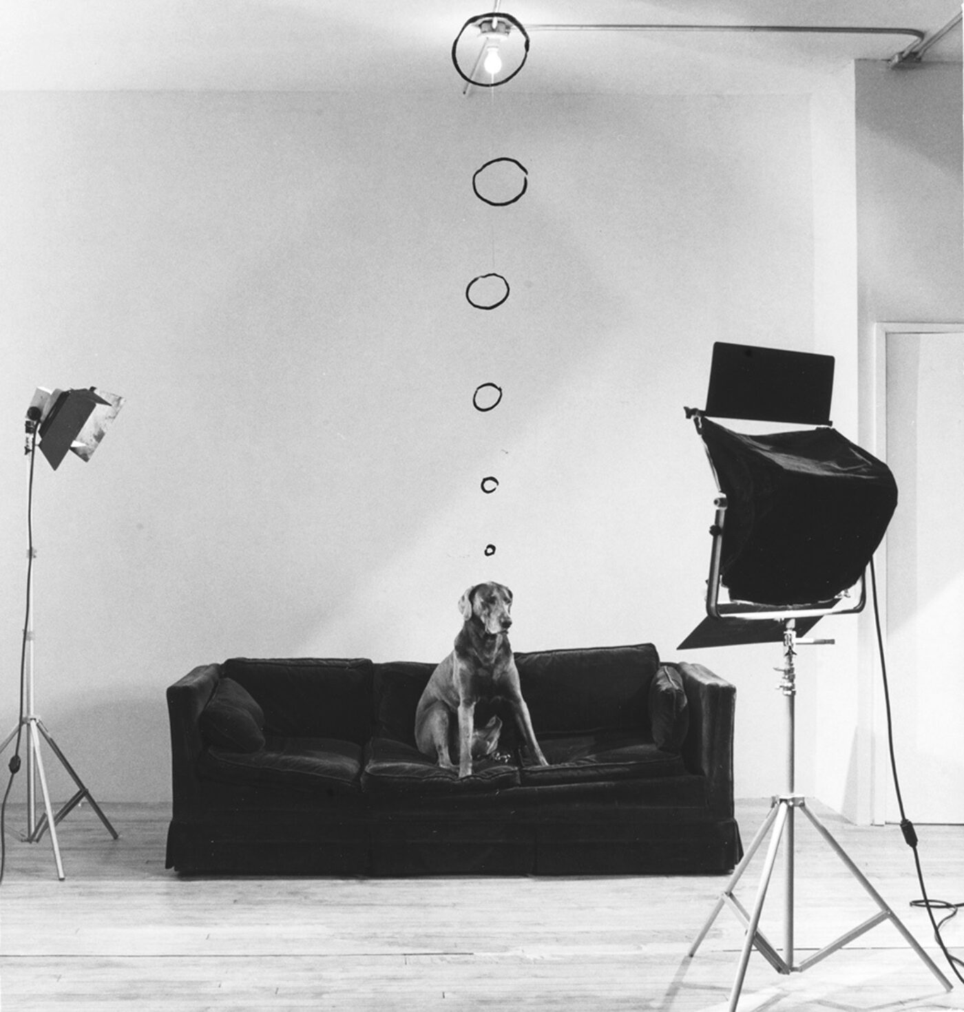 A dog sits on a dark sofa in a minimalist studio setting, reminiscent of an Andrew Lampert scene. Two photography lights are positioned on either side. Above the dog, circles suggest thought bubbles against the simple white wall, echoing the quirkiness of William Wegmans work.