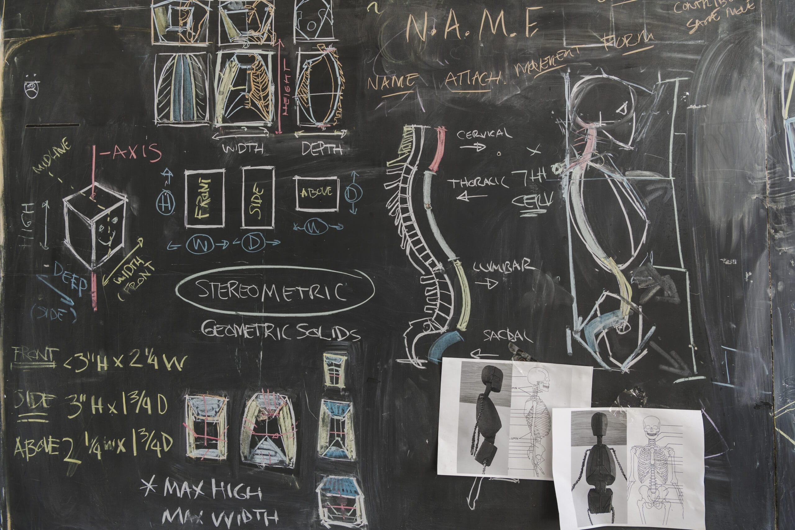 A chalkboard filled with diagrams and sketches, including geometric shapes, human figures, and anatomical drawings, highlights the fusion of Integrative Sciences and Biological Arts. Notes in vibrant colors accompany paper sketches pinned to the board, showcasing this innovative blend.