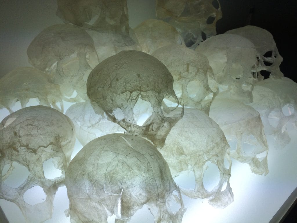 A collection of fragile, translucent skulls made from a thin, paper-like material, arranged on a glowing surface. This delicate matter allows light to pass through, highlighting the intricate details and texture of the skulls.