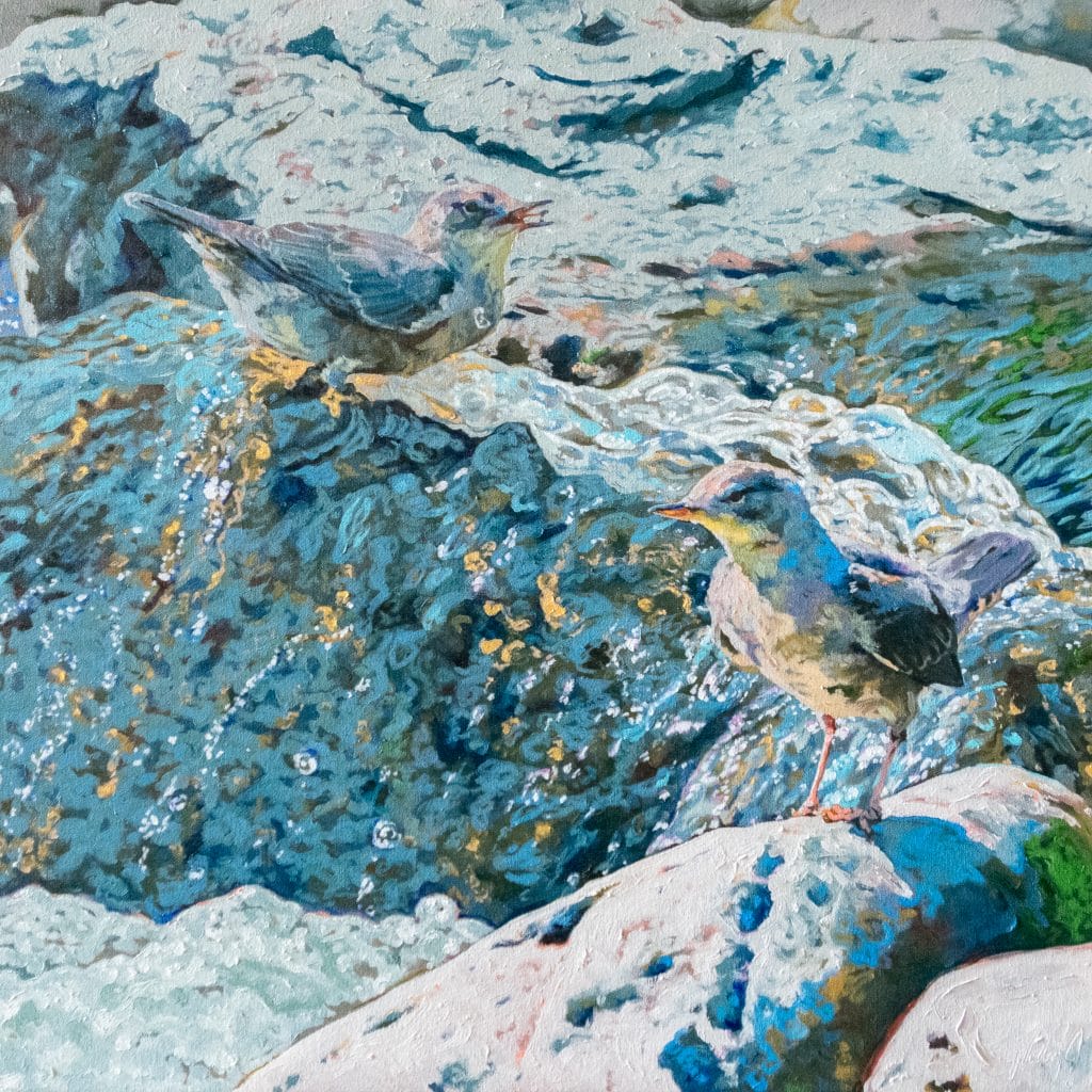 Two birds stand on rocks amid flowing water, reminiscent of a serene moment along the Dipper Trail. The scene is painted in soft, natural hues, capturing the motion of the waterfall and the tranquility surrounding it.
