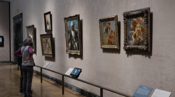 A person stands in an art gallery, contemplating the collection of framed paintings on a textured wall. Informational plaques detail each artworks provenance, enhancing the experience. The warm wooden floor adds a welcoming touch to the setting.