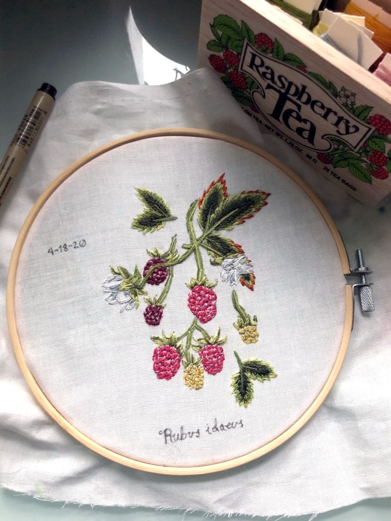 An embroidery hoop showcases a detailed design of a fruit-bearing raspberry plant with leaves and berries on white cloth. A micron pen and a Raspberry Tea box sit close by. The text Rubus idaeus and date 4-18-20 are elegantly stitched into the fabric.