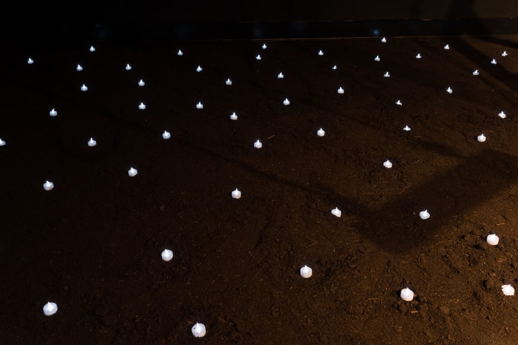 Tea light candles laid out in a grid in a darkened nighttime setting