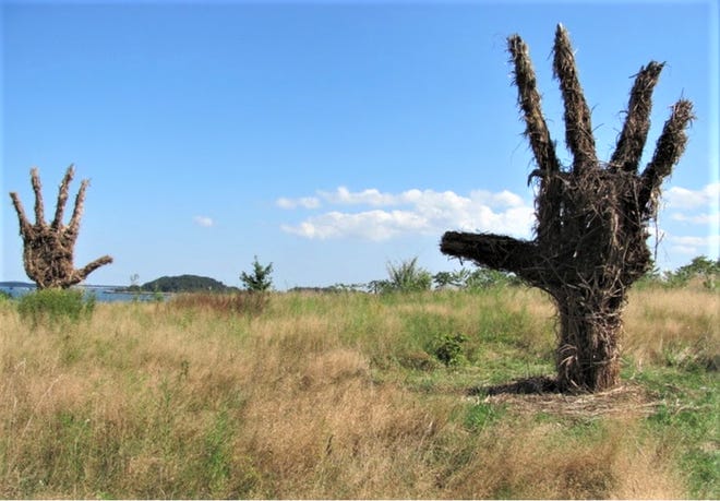 Large hand sculptures crafted from twigs and branches rise from the grassy landscape under a clear blue sky, showcasing the creative vision of public artist Carolyn Lewenberg. One sculpture stands prominently in the foreground, while another graces the distance.