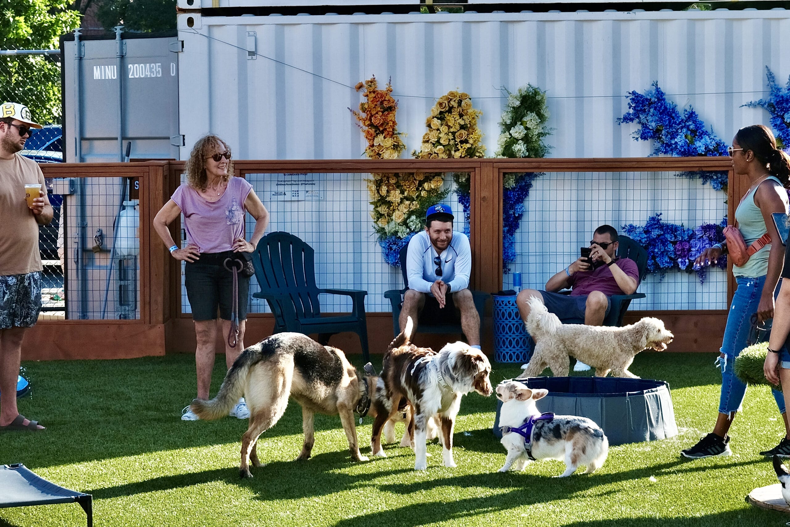 People in a dog park enjoy the chill vibe as various dogs play on a grassy area. Some dogs gather near a small pool. A white container with colorful flower art is in the background, and there are chairs with people sitting or standing around.