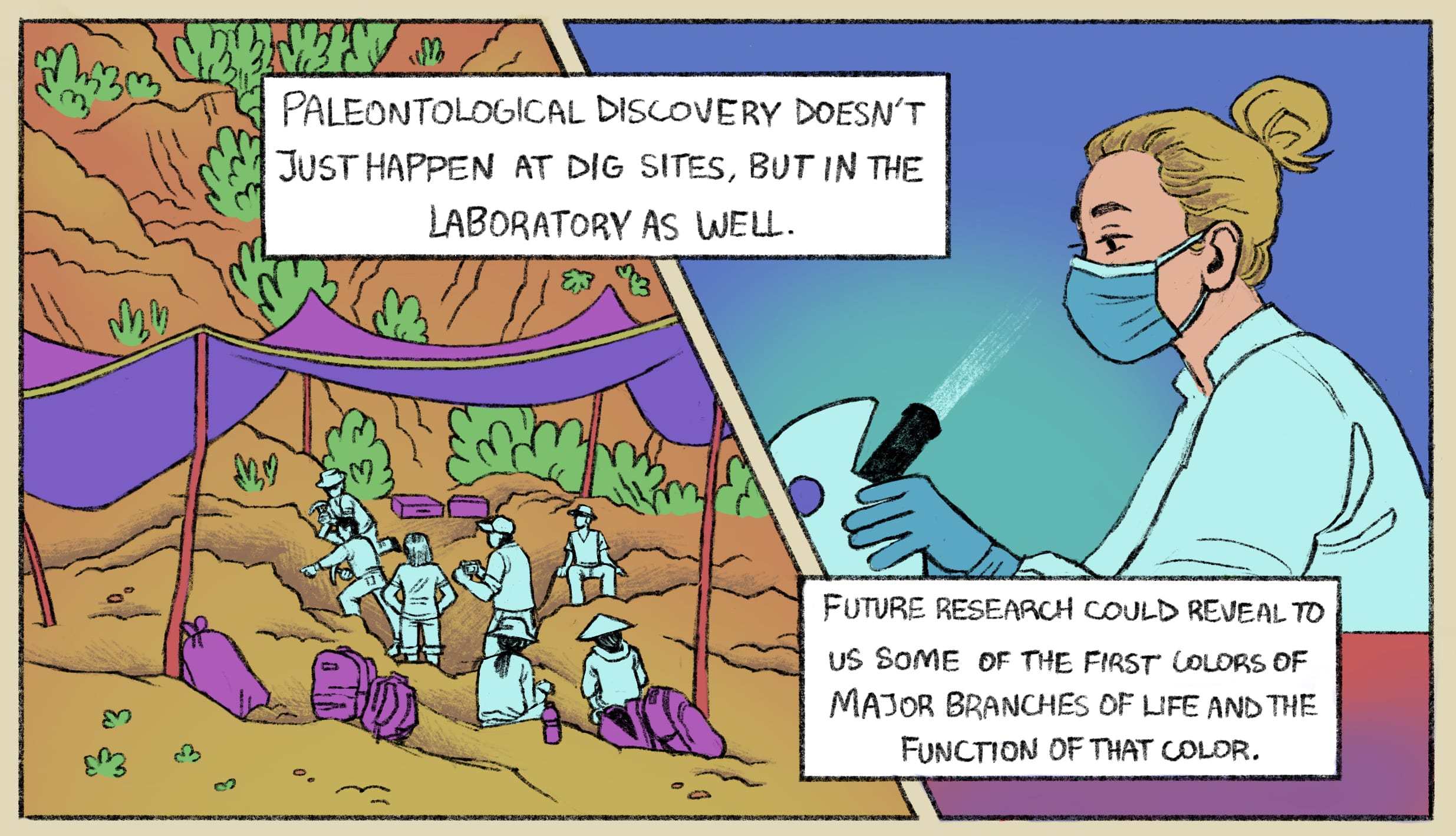A colorful comic strip panel entitled "Fossils in Color"