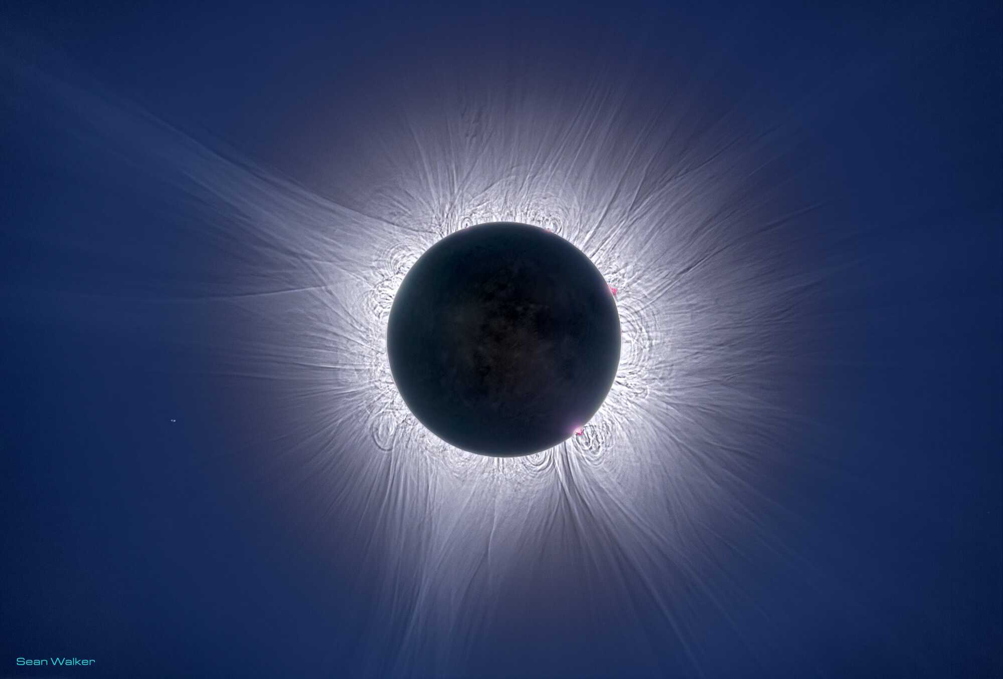 A total solar eclipse shows the dark silhouette of the Moon covering the Sun, with the Sun’s bright corona and solar flares radiating outward—an awe-inspiring sight reminiscent of a Painting Alumnus from MassArt reaching for a Career for the Stars.