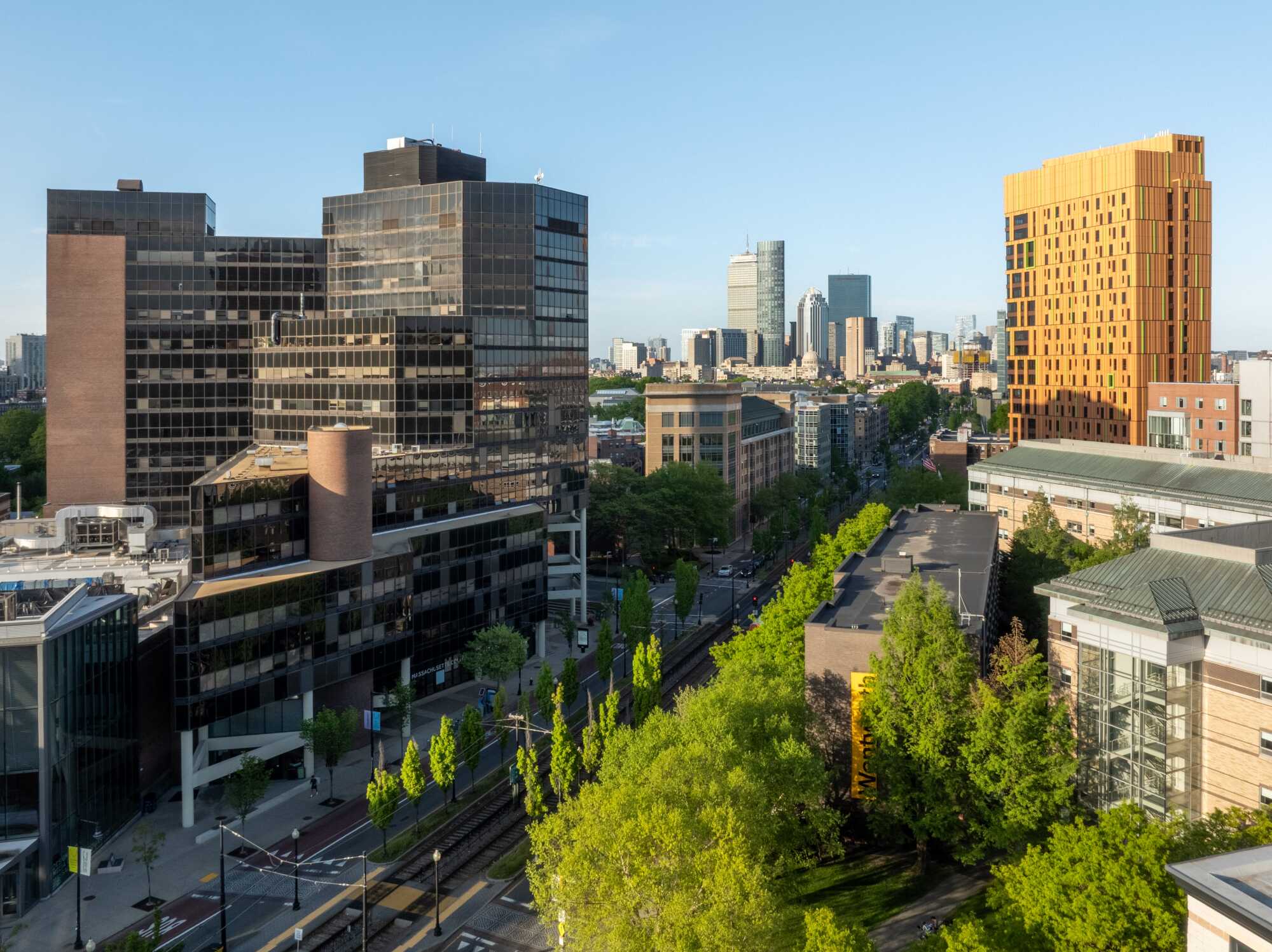 A cityscape featuring modern high-rise buildings, tree-lined streets, and tram tracks running through an urban area on a clear, sunny day. Off campus housing options include a tall orange building that stands out among darker office towers.