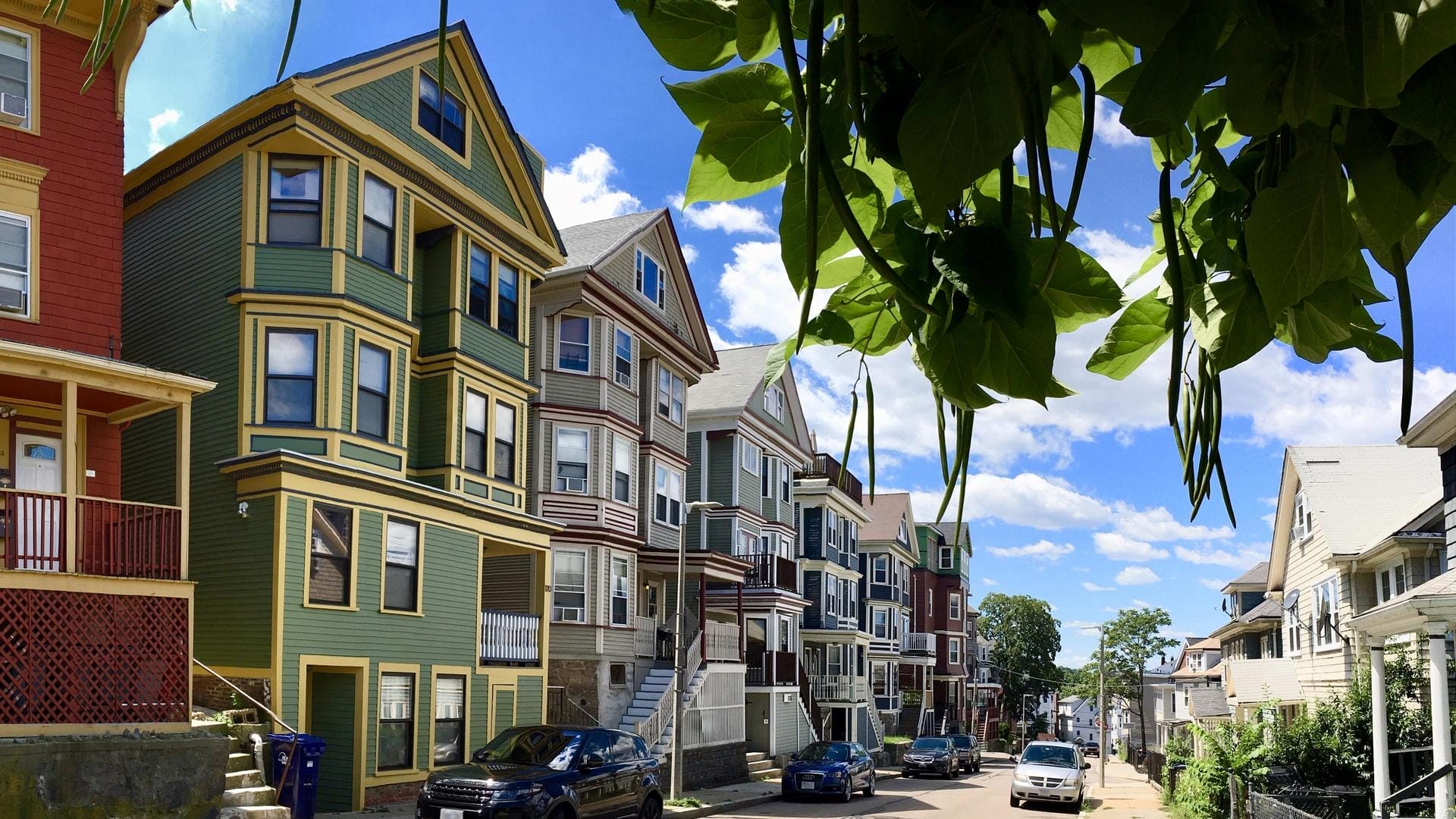 A row of colorful, three-story houses lines a quiet residential street under a bright blue sky with fluffy clouds; leafy green branches hang into the foreground above parked cars, offering charming off campus housing options.