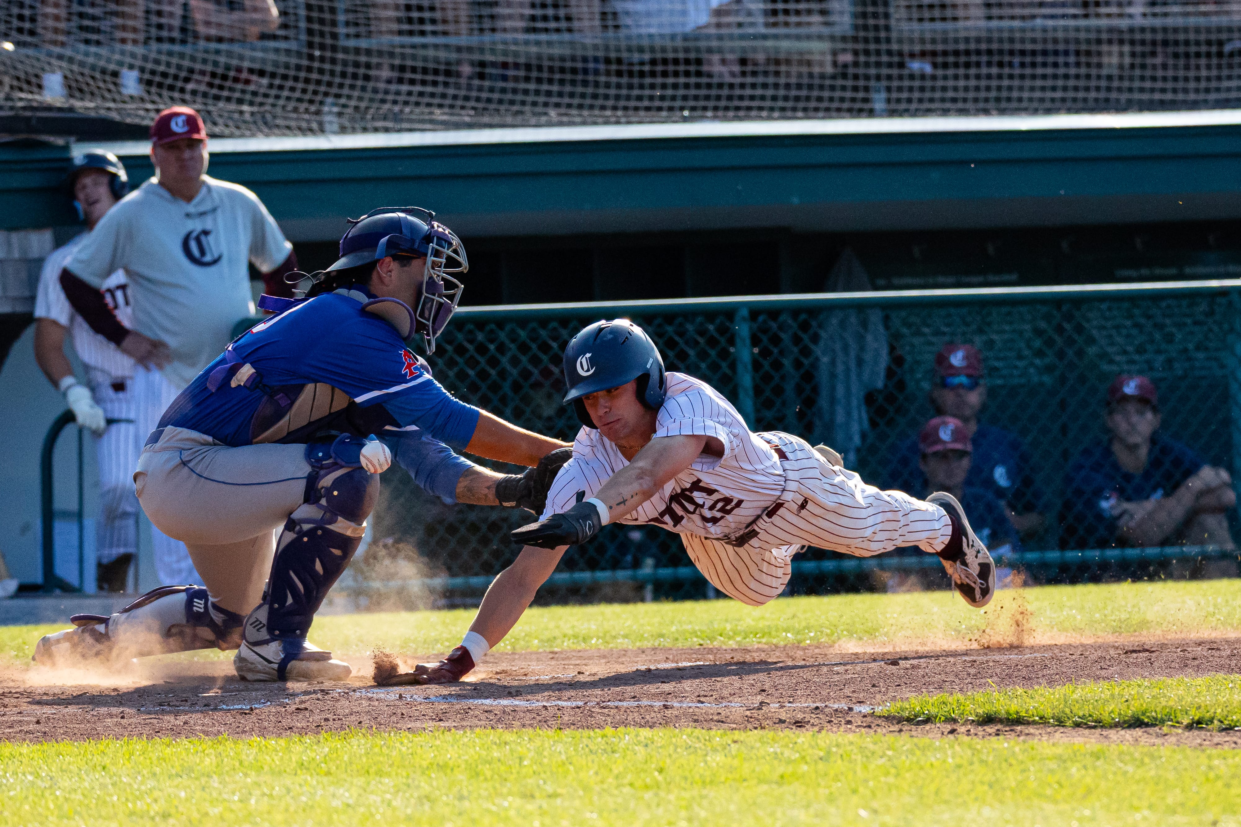 Behind the Lens: A Cape Cod Baseball player in a striped uniform dives toward home plate as a catcher in blue gear reaches to tag him, with dust rising and teammates watching from the dugout in the background.