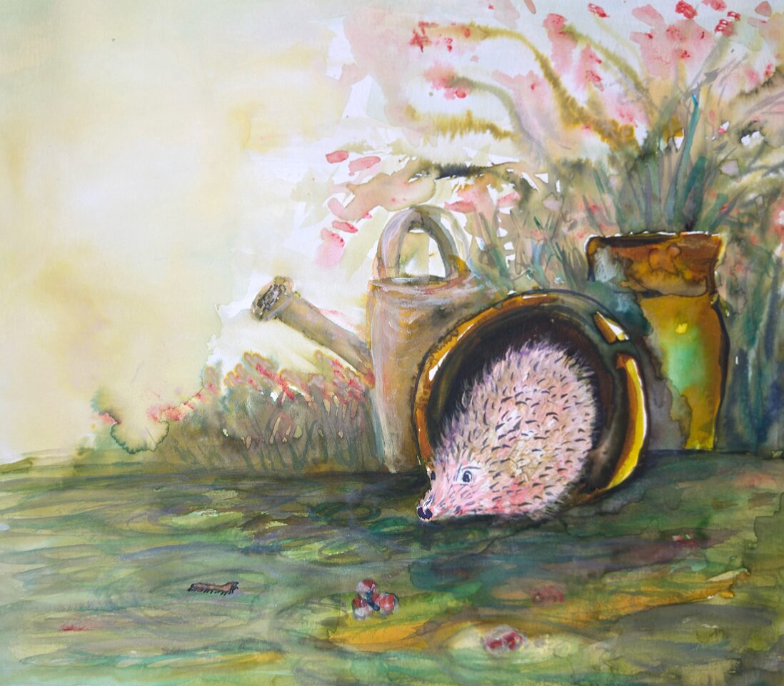 A watercolor painting by MassArt alumna Agata Stanik of a hedgehog emerging from a toppled clay pot beside a watering can and large vase, blending design elements with green grass and pink flowers in the background.