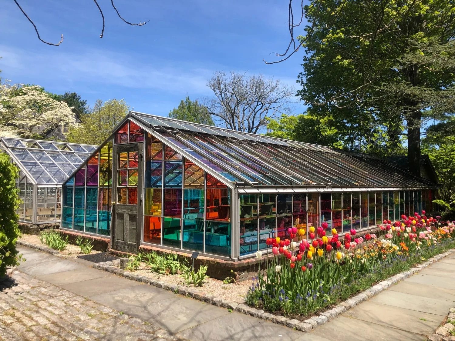 A greenhouse with colorful, stained-glass panels inspired by Tracy Silva Barbosa’s glass artistry stands among vibrant blooming tulips and greenery, under a blue sky with trees in the background—a tribute to MassArt creativity.