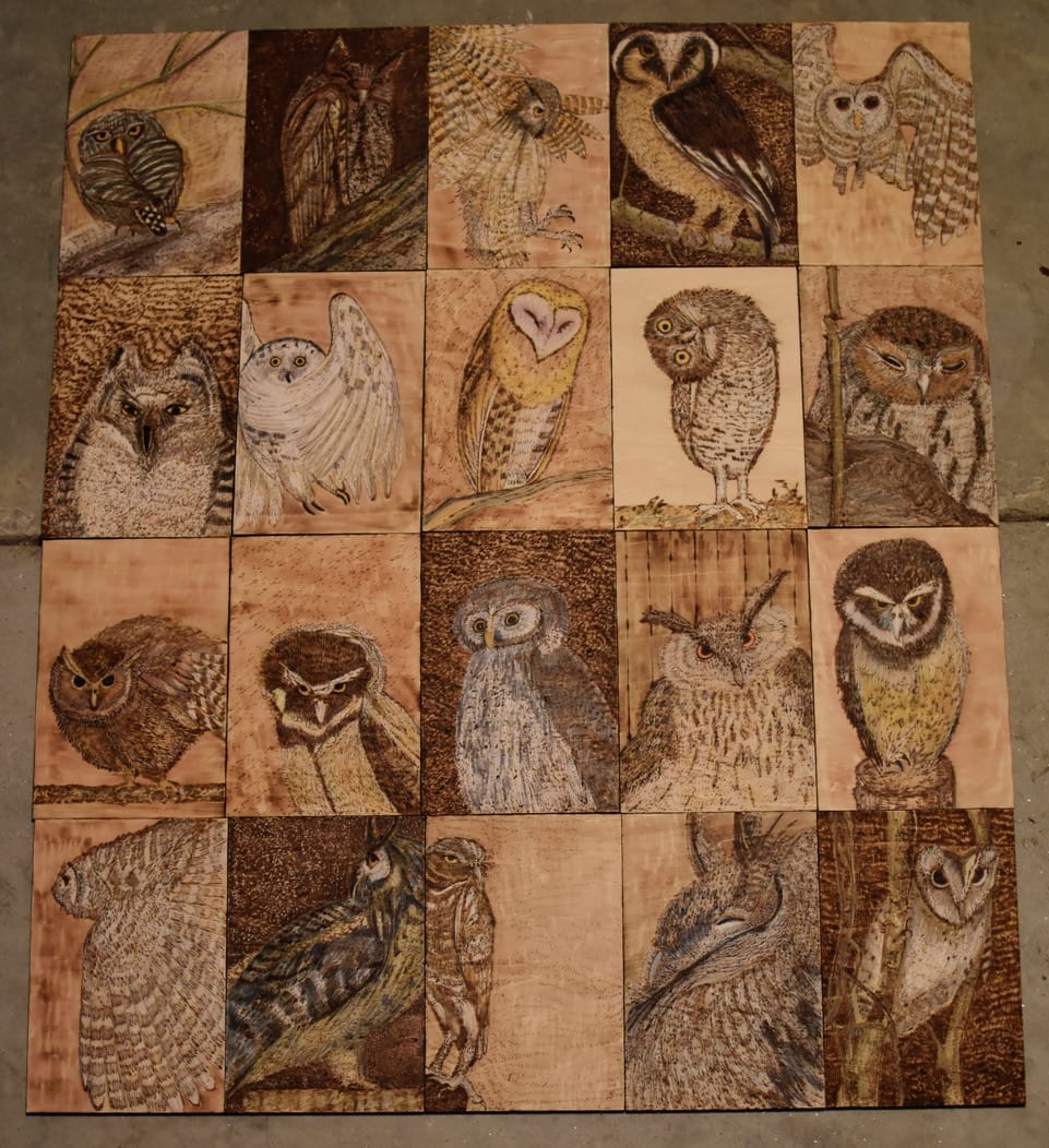 A creative work by a MassArt alumna, this wooden panel features 16 square tiles, each engraved with a different species of owl in various poses and styles, forming a grid of detailed owl illustrations.
