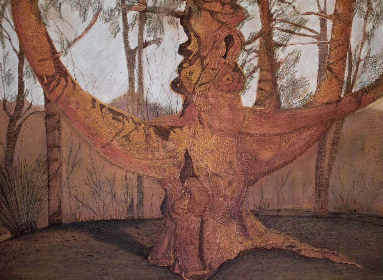 A large, twisted tree with a wide, curving trunk stands in a forest clearing, its earthy texture and painted look reflecting the creative work of a MassArt alumna surrounded by slender trees with sparse leaves.